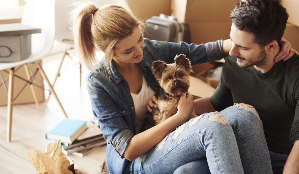  Aprenda a adaptar o seu apartamento para receber animais de estimação